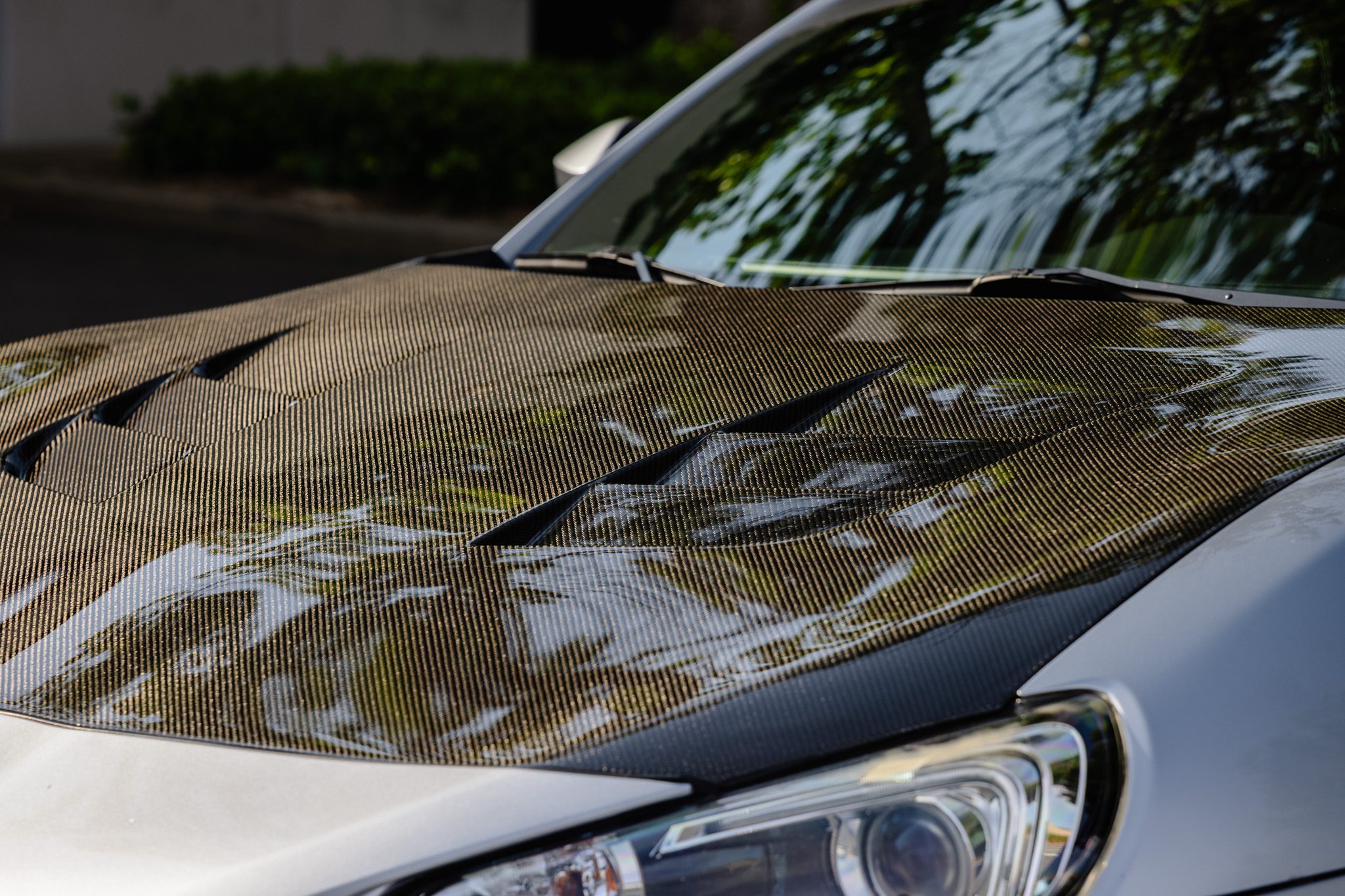 colored paint protection film